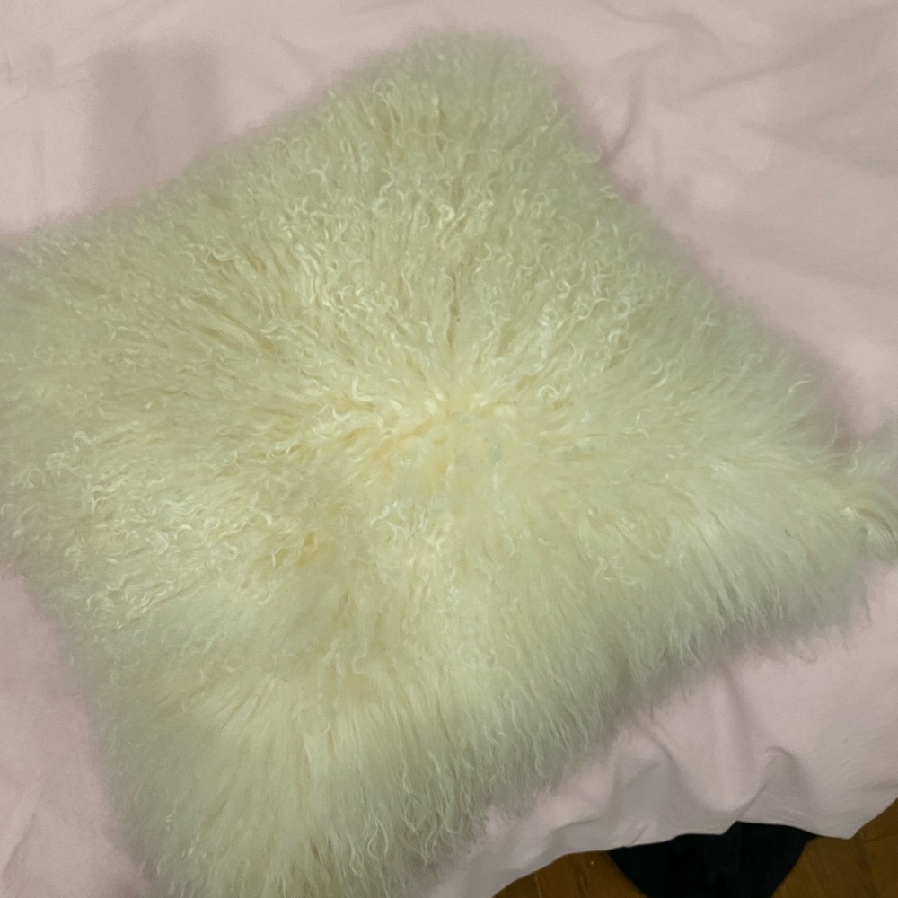 Cushion